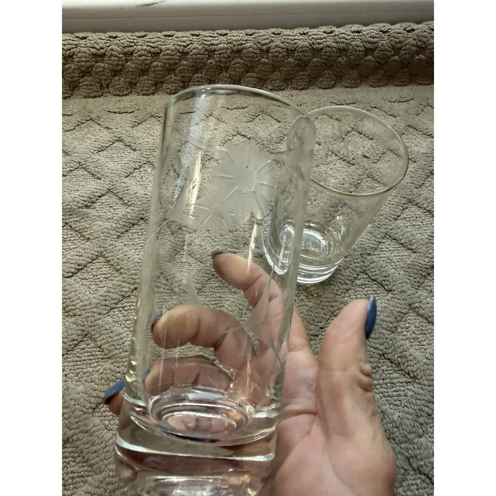 Vintage Mid-Century Etched Floral Highball Glasses, Set of 2